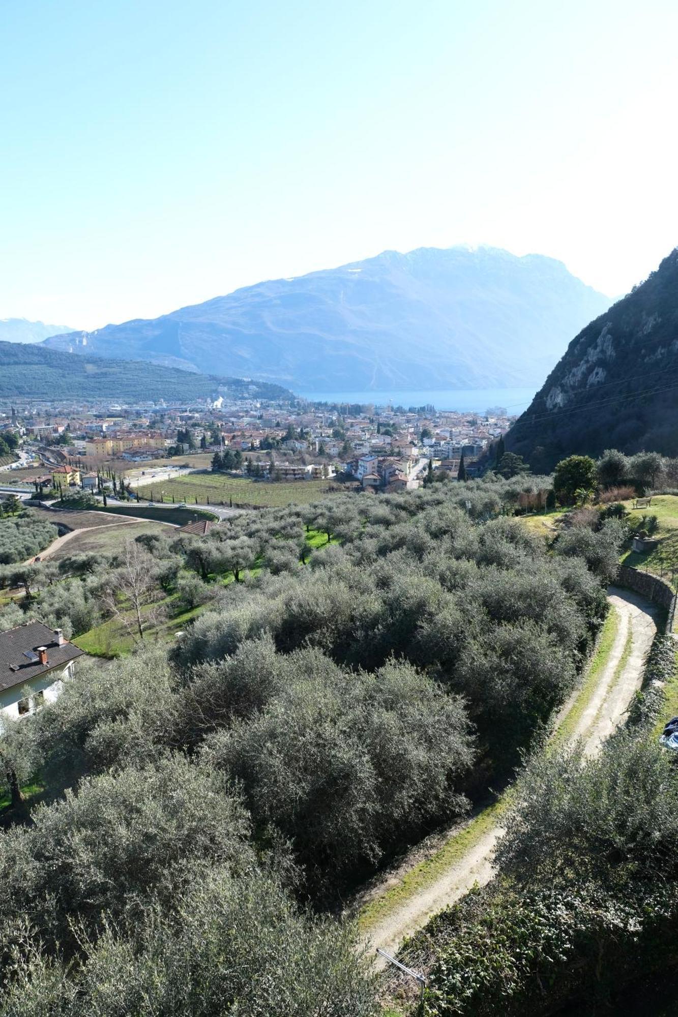 Casa Segantini - Panorama Pool Apartment Gavazzo Nuova Екстер'єр фото